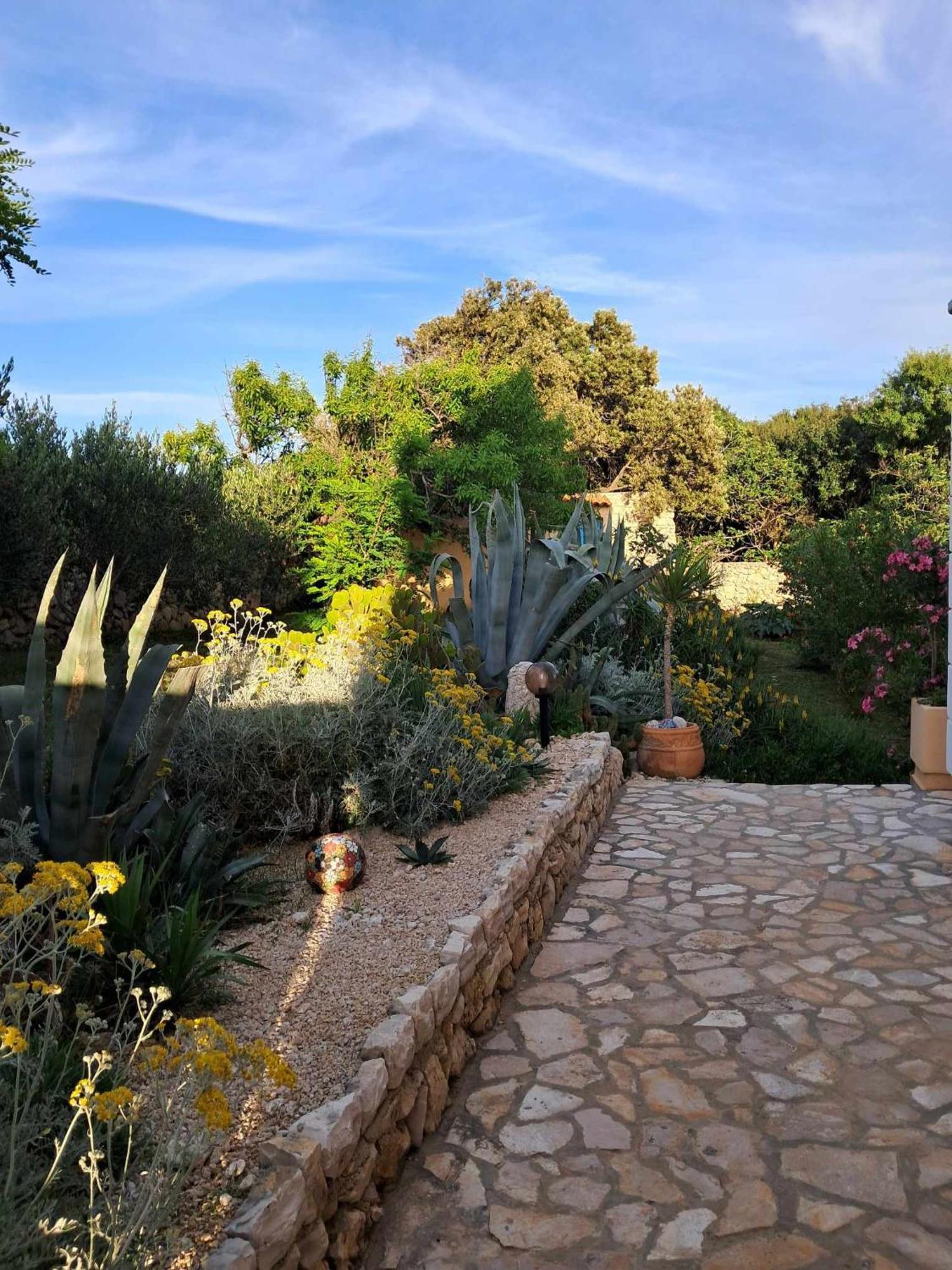 Villa Cesarica נובליה מראה חיצוני תמונה