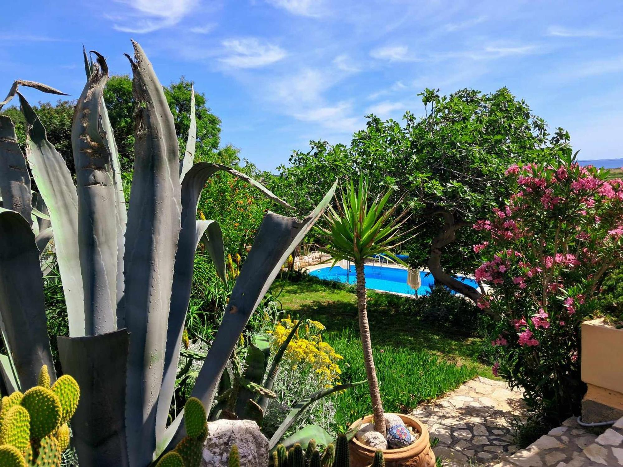 Villa Cesarica נובליה מראה חיצוני תמונה