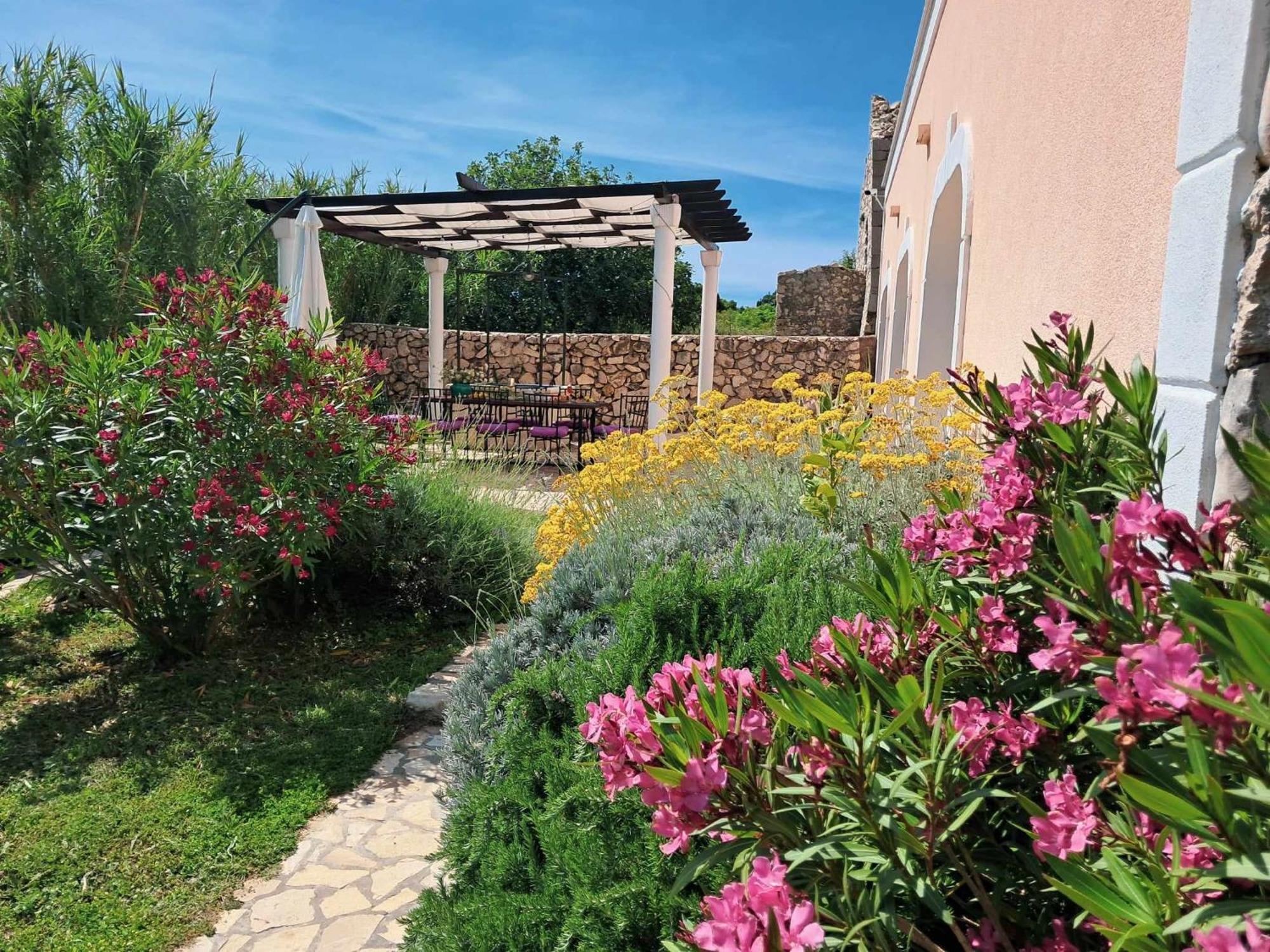 Villa Cesarica נובליה מראה חיצוני תמונה