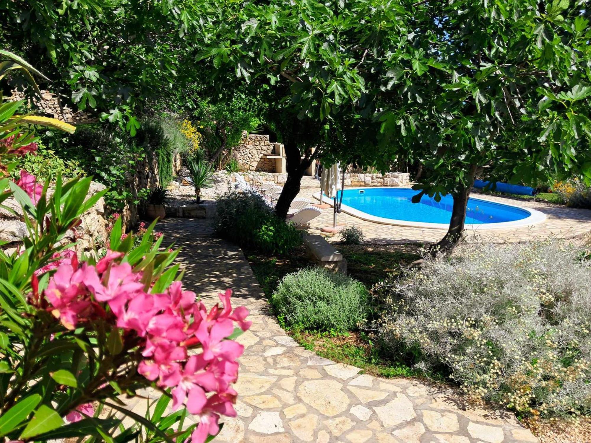 Villa Cesarica נובליה מראה חיצוני תמונה