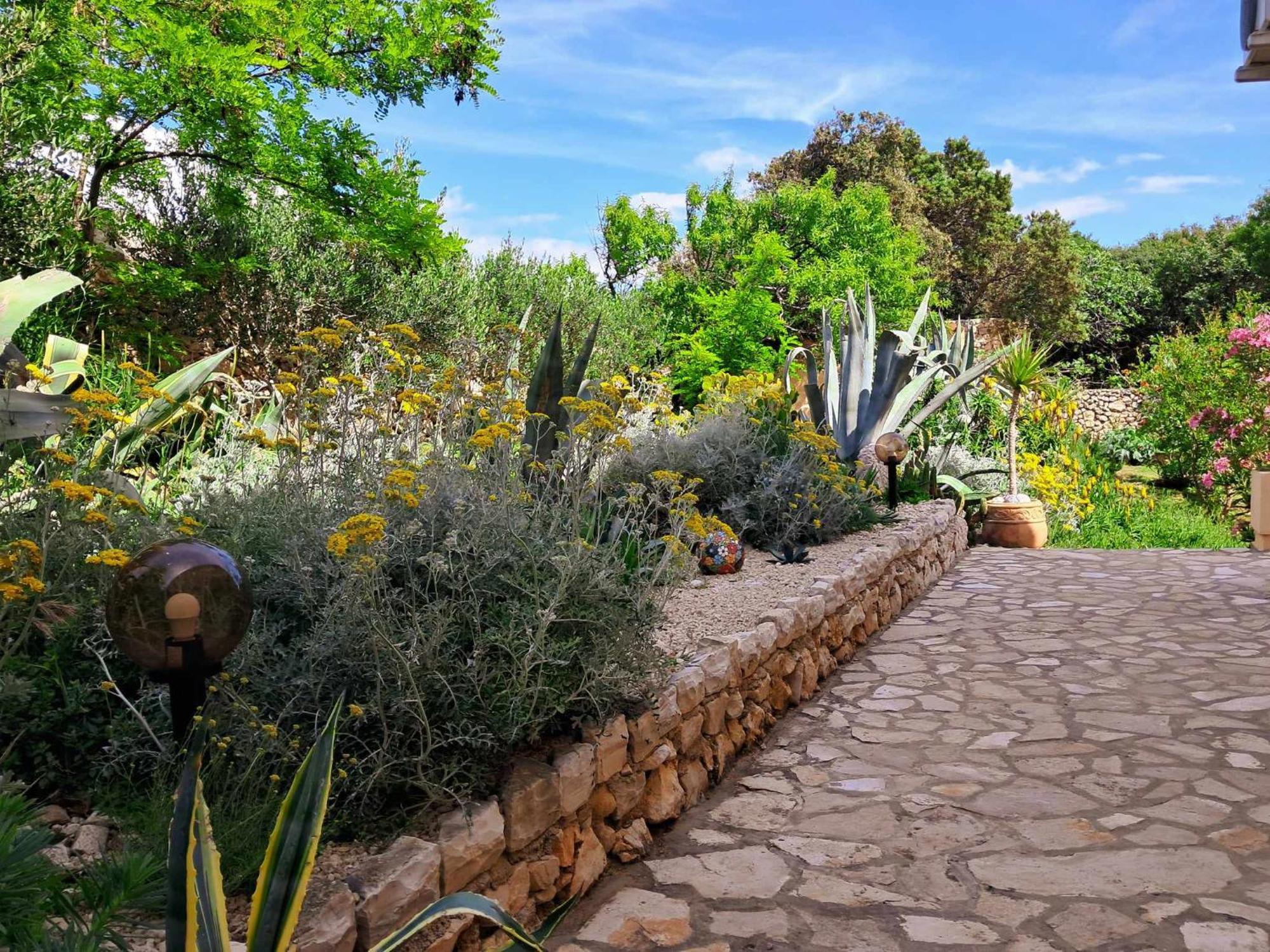 Villa Cesarica נובליה מראה חיצוני תמונה